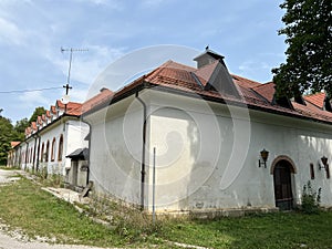 The building of the Dormouse Museum - Stari trg pri Lozu, Slovenia / Stavba Polharskega muzeja, GraÅ¡Äinski kompleks SneÅ¾nik